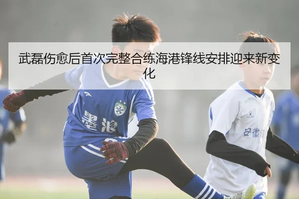 武磊伤愈后首次完整合练海港锋线安排迎来新变化（hth）